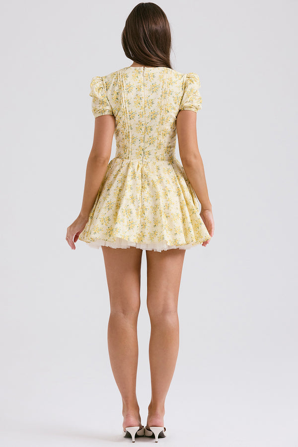 FAE Dreamy Mini Dress™
